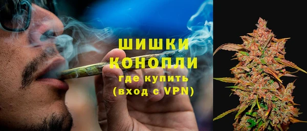 хмурый Бронницы