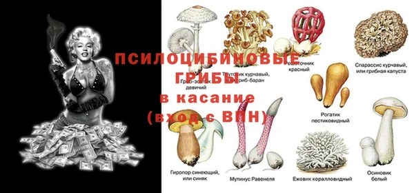 кокс Бородино