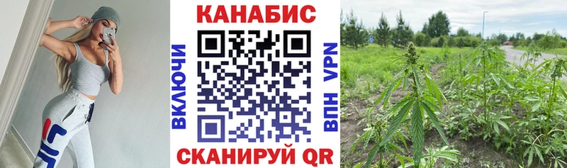 Купить где  Кунгур  Каннабис VHQ 